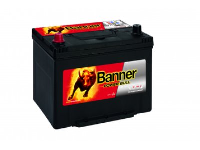 Banner POWER BULL P7024 L