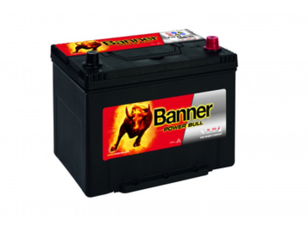 Banner POWER BULL P7029 P