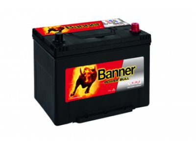 Banner POWER BULL P7029 P