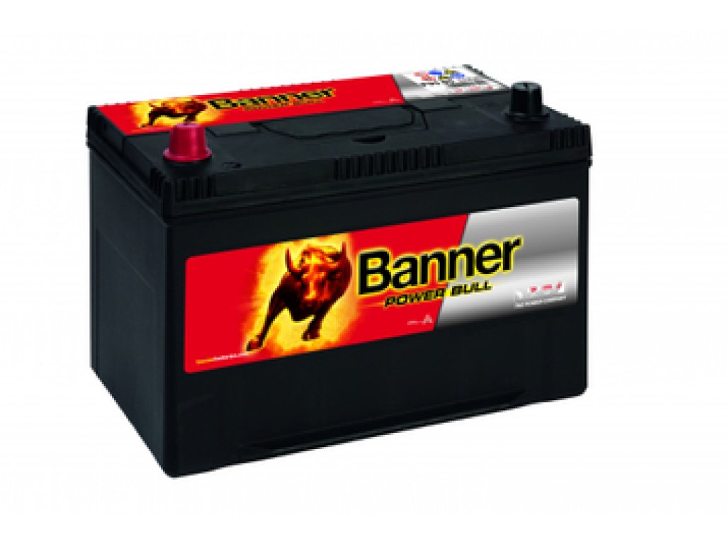 Banner POWER BULL P9505  95Ah L