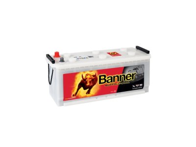 Banner BUFFALO BULL 64035