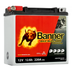 BIKE BULL AGM PROFESSIONAL 12V